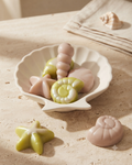 Wax Melts Fruta de la Pasión